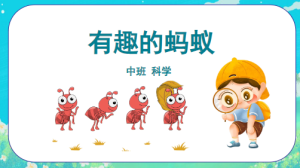 M0609-中班科学《有趣的蚂蚁》PPT+教案-幼师资源库
