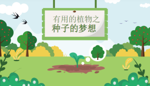 M0619-中大班科学《种子的梦想》课件PPT+教案-幼师资源库
