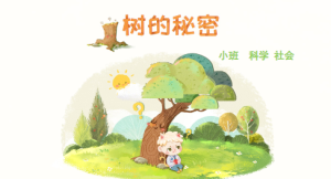 M0614-中班社会科学《树的秘密》 含有声PPT课件+故事配音+教案-幼师资源库
