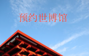 L1047大班数学活动《预约世博馆》视频+教案+课件-幼师资源库