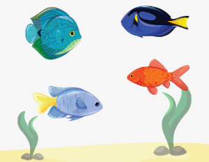 L0720大班科学《快乐小鱼》视频+课件+教案-幼师资源库