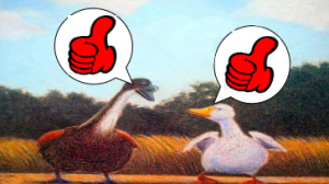 L0005大班语言绘本游戏《一根羽毛也不能动》4个版本 含微课 视频+教案+课件+反思-幼师资源库