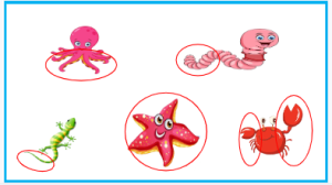 L0707大班科学《有趣的动物再生本领》视频+教案+课件+反思+打印图-幼师资源库