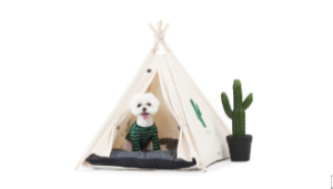 L2603大班综合《我的秘密空间》2024 视频+教案+PPT课件+课中视频-幼师资源库