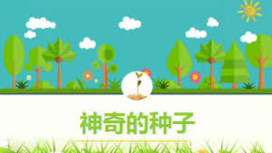 M0672中班科学《神奇的种子》视频+课件+教案+反思-幼师资源库