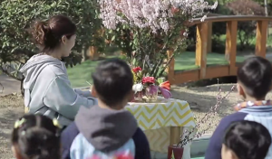 S0644小班科学《留住春天的色彩》视频+教案+教具-幼师资源库