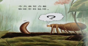 S0363小班综合《我有一双奇妙的手》视频+教案+PPT课件-幼师资源库