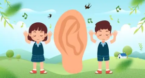 S0040小班健康《能干的小耳朵》视频+教案+课件-幼师资源库