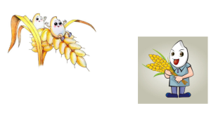 M0480中班社会《珍惜粮食不浪费》课件PPT+音乐+教案-幼师资源库