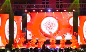 WD032-幼儿园舞蹈学习-幼师资源库