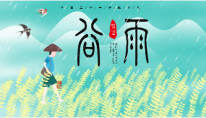 K024社会领域《二十四节气-谷雨》（3个版本）课件+教案-幼师资源库