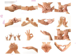 M0460中班社会《听手命令》视频+课件+教案+音乐-幼师资源库