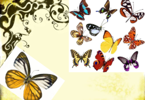 M1366中班美术《美丽的湿拓画》（微课）视频+课件+教案+反思-幼师资源库