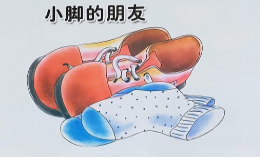 S0028小班健康《小脚的朋友》课件+视频+反思+教案-幼师资源库