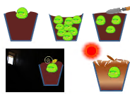L0678大班科学《种植乐》视频+教案+课件+反思+音乐-幼师资源库