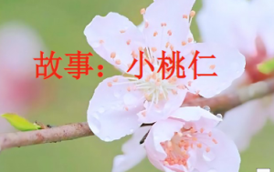 L0044大班语言活动《小桃仁》视频+教案+课件+反思+配音-幼师资源库