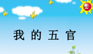 S0006-小班健康《我的五官》视频+教案+课件+打印图-幼师资源库