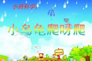 S0652小班科学《小乌龟爬呀爬》视频+课件+教案+反思-幼师资源库