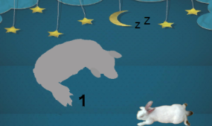 M0635中班科学《动物睡觉》视频+教案+课件+反思+音乐-幼师资源库