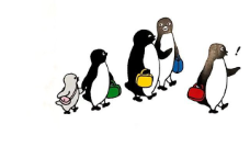 M0003中班绘本故事《小企鹅逛百货商店》视频+教案+课件+教具+音乐-幼师资源库