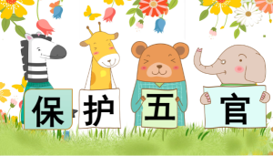 M0254中班健康《保护五官》教案+PPT+课堂实录+音乐-幼师资源库