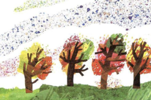 ST071视听资料秋天主题《小种子》任务卡-答案卡-音频-幼师资源库