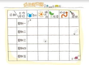 H013、植物角观察记录-环创素材-幼师资源库